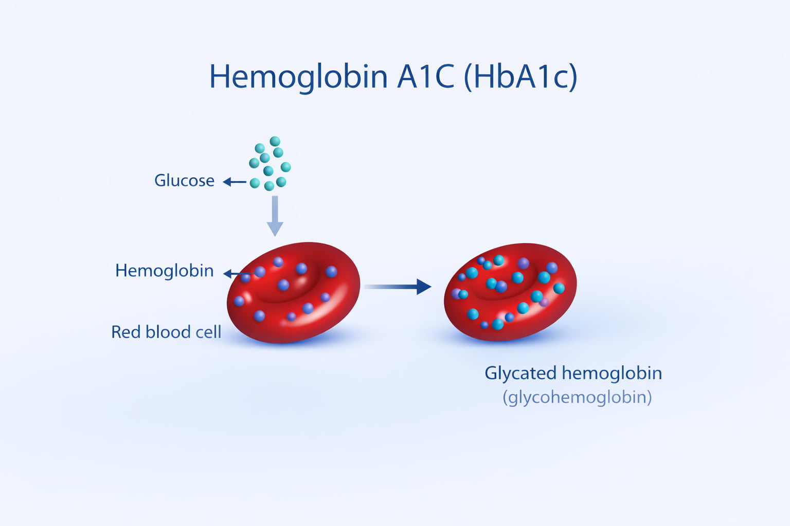 Mounjaro and the Heart