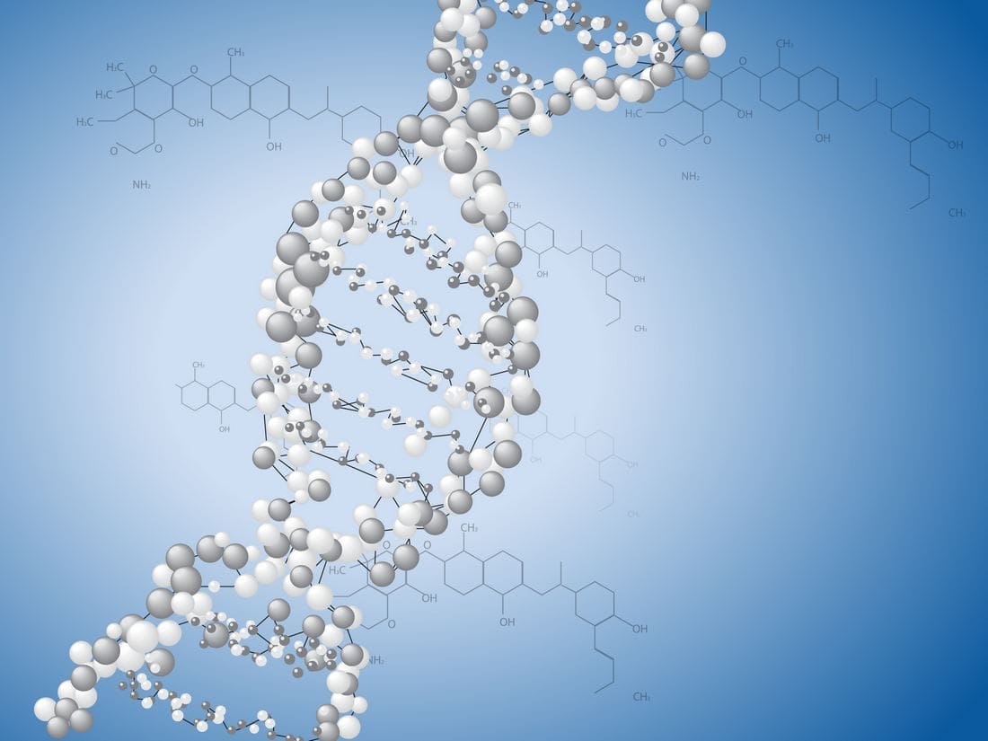 MOTS-c and Muscle Activity Support: New Opportunities for Active Individuals