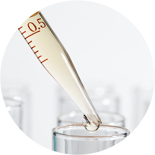 Check-up «Lipid Profile»