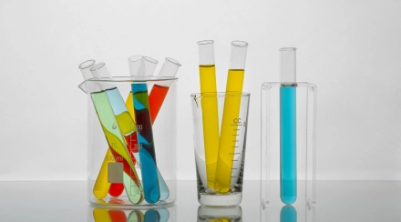 Weight Loss Check-up «Express»