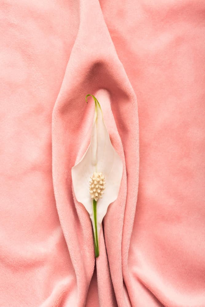 Fillers in aesthetic gynecology