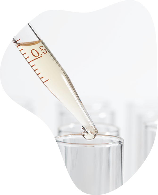 Check-up «Lipid Profile»
