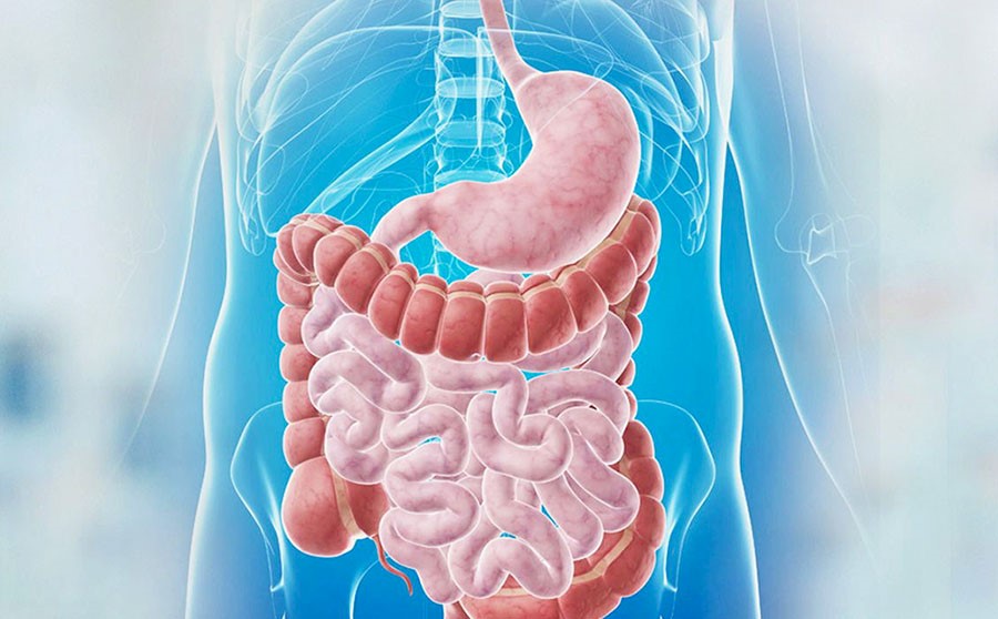 TB-500 and soft tissue regeneration in gastrointestinal tract injuries