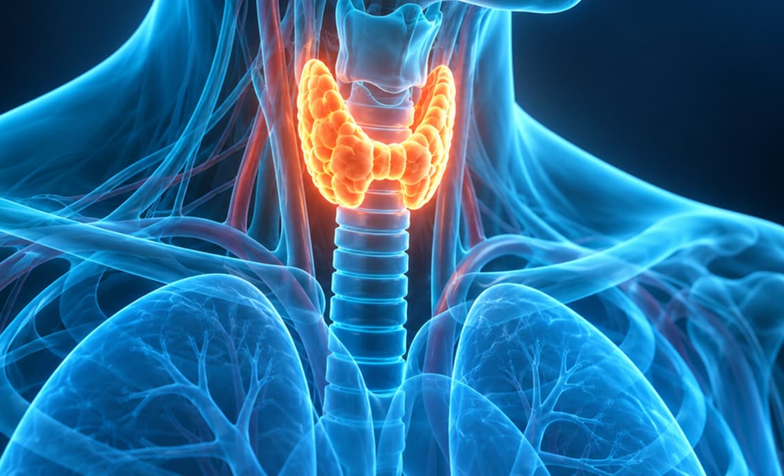 Endocrinology