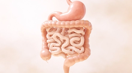Peptides for Metabolic Gastroenterology