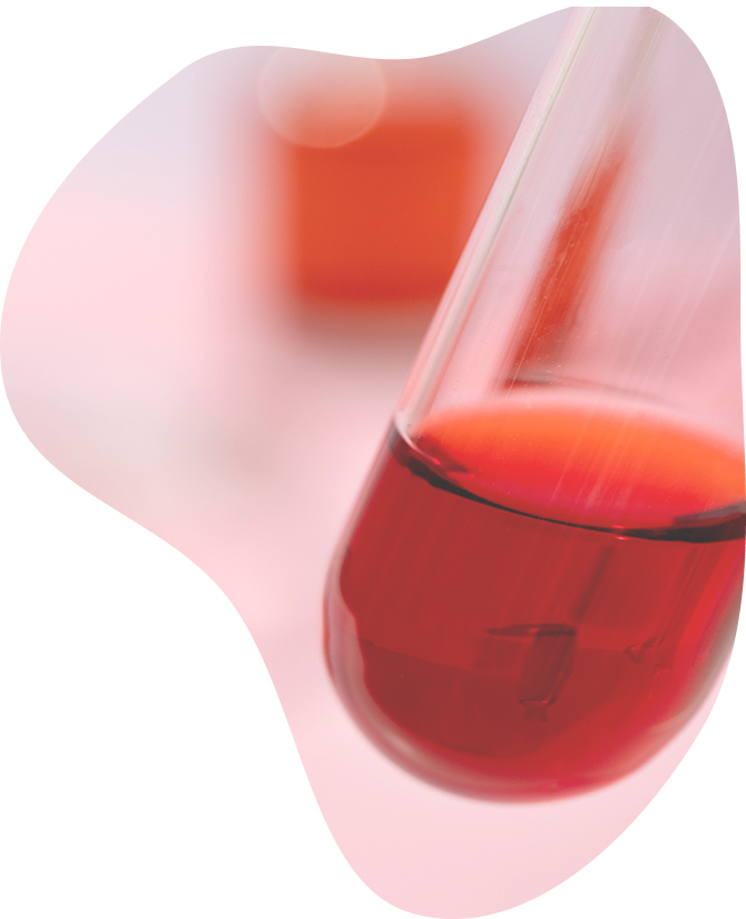 Check-up «Anemia Test»