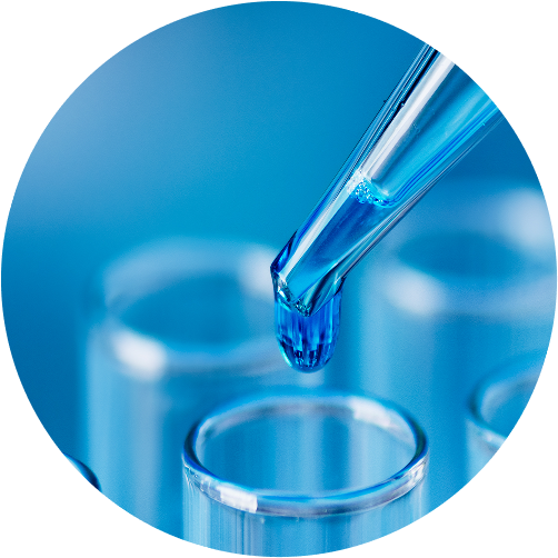 Check-up «Thyroid Function Test»