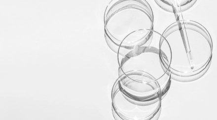 Check-up «Electrolytes»