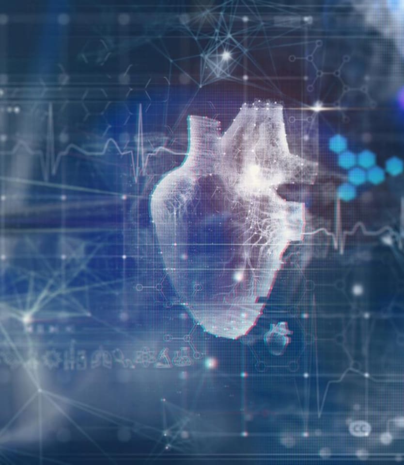 Comprehensive vascular care program