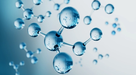 Check-up «Amino Acids»