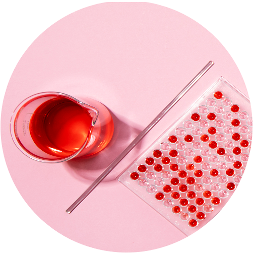 Check-up «Complete Blood Count»