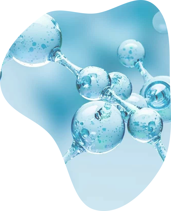 Check-up «Amino Acids»