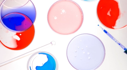 Check-up «Celiac Profile»