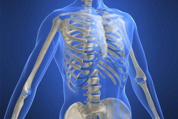 BPC-157 and the Recovery of Bone Tissue After Injuries