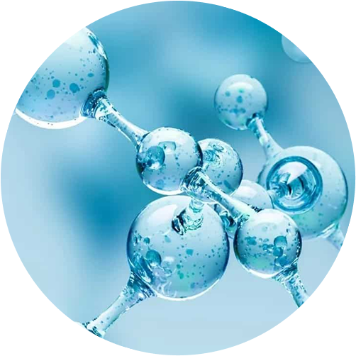 Check-up «Amino Acids»