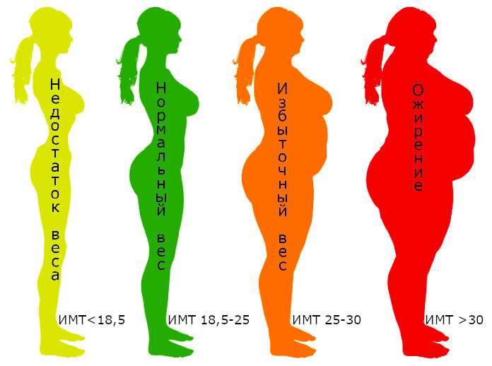 How to calculate body mass index?