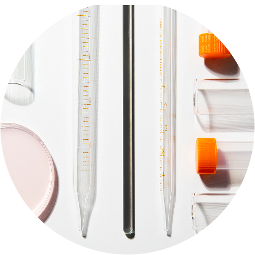 Check-up «Liver Function Test»
