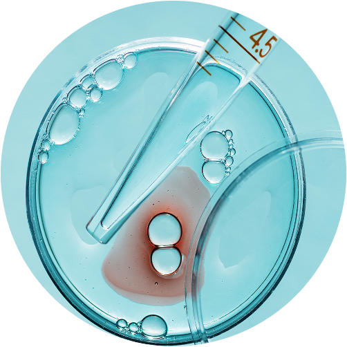 Check-up «Coagulation Test»