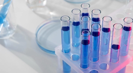 Weight Loss Check-up «Standard»