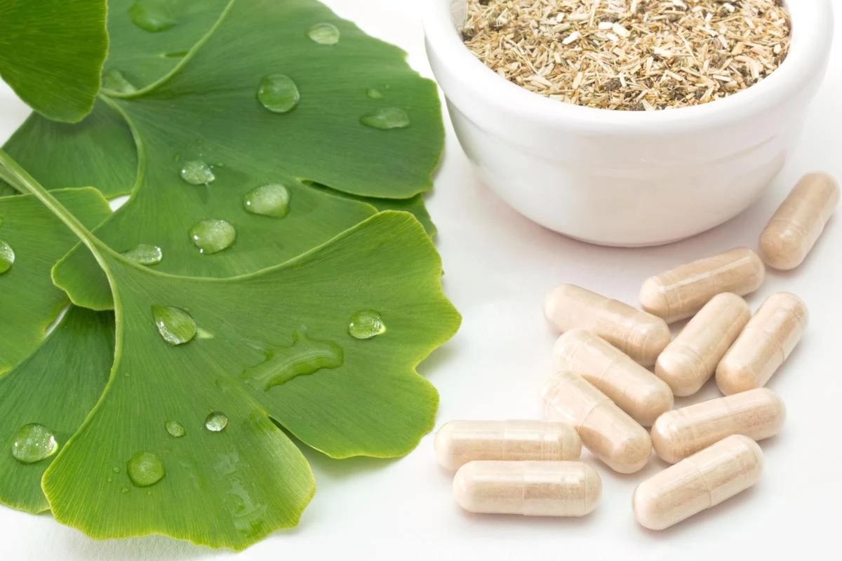 Benefits of ginkgo biloba, harm, what is it for?