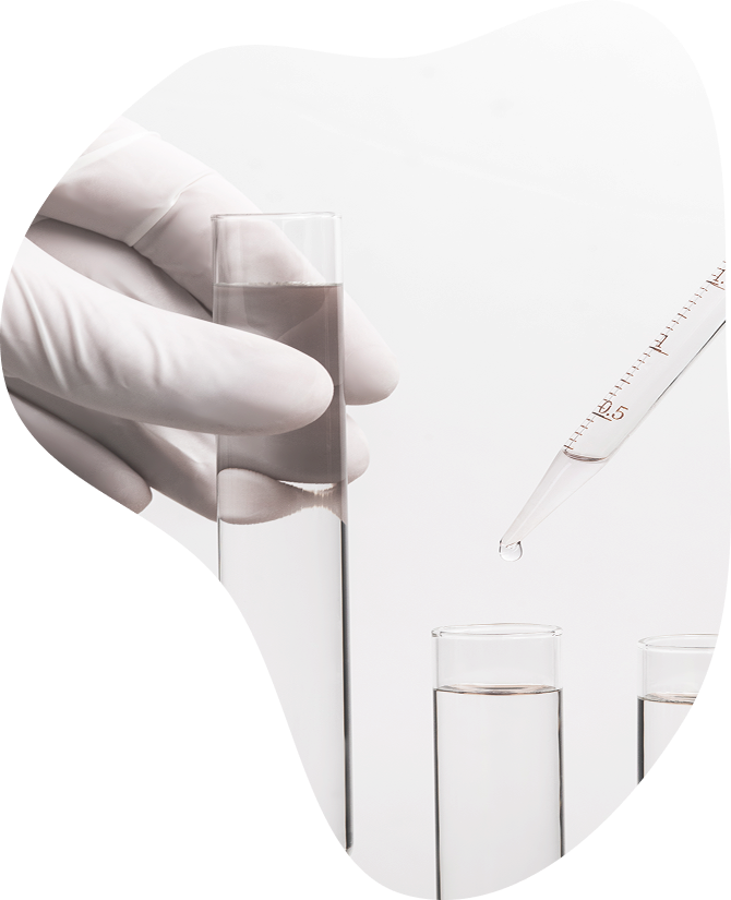 Check-up «Kidney Function Test»