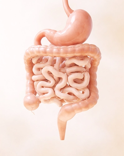 Peptides for Metabolic Gastroenterology