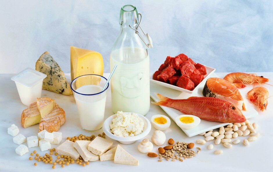 What is a protein diet
