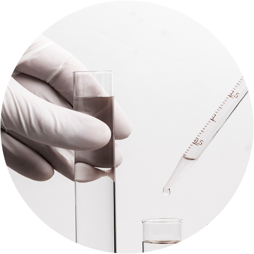 Check-up «Kidney Function Test»