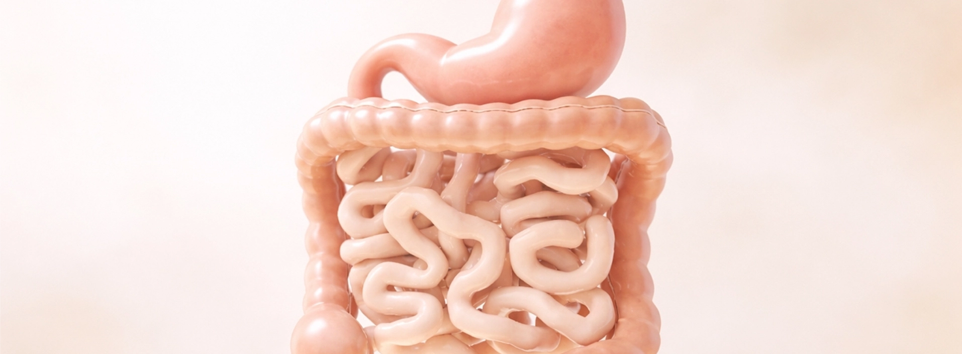 Peptides for Metabolic Gastroenterology