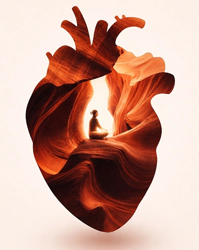 Echocardiography (Heart Ultrasound)