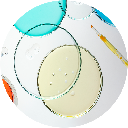 Check-up «Metabolic Syndrome Profile»